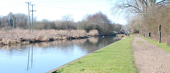 River Kennet - Thatcham